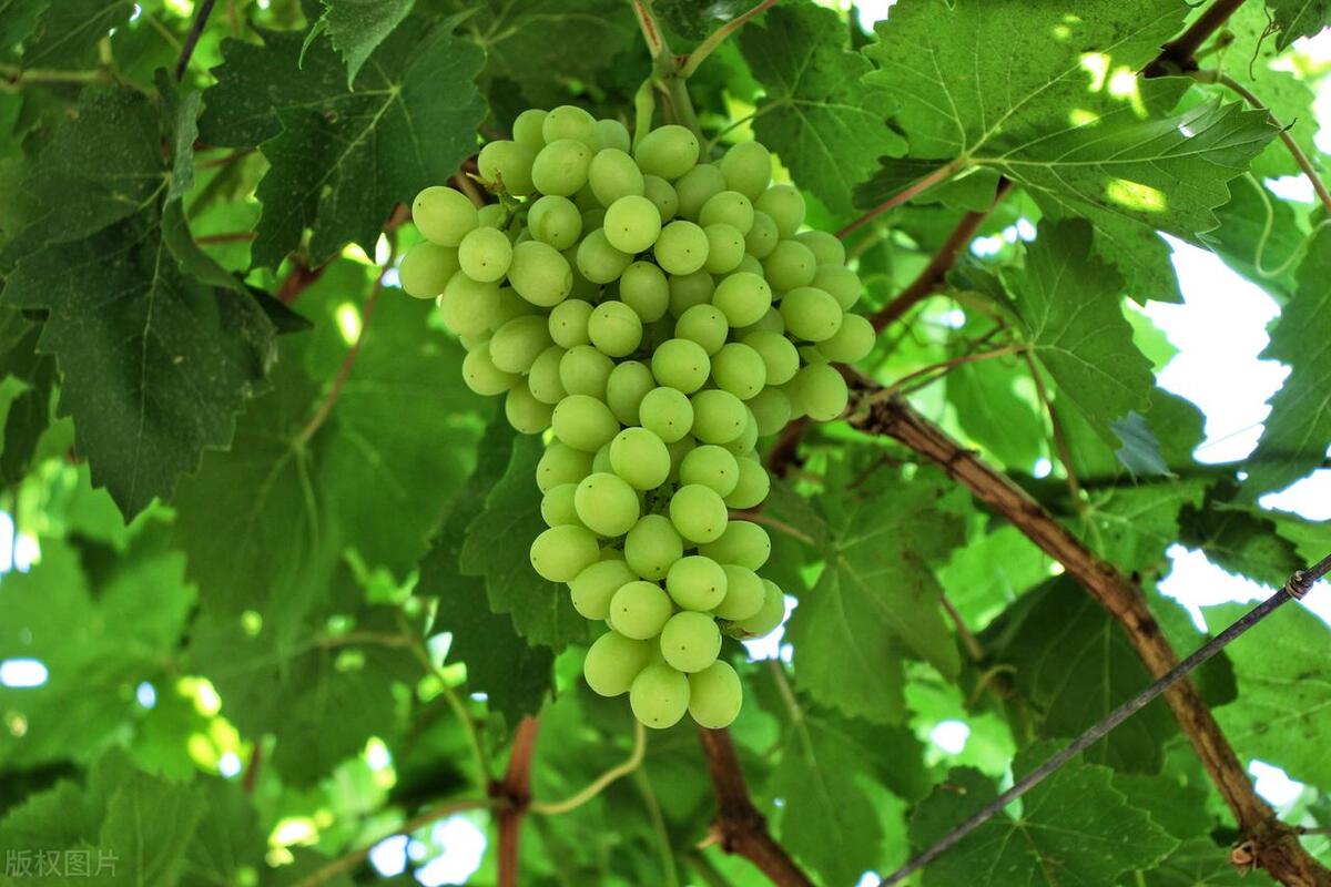 全新疆最美丽的地方,出疆旅游的地方有哪些