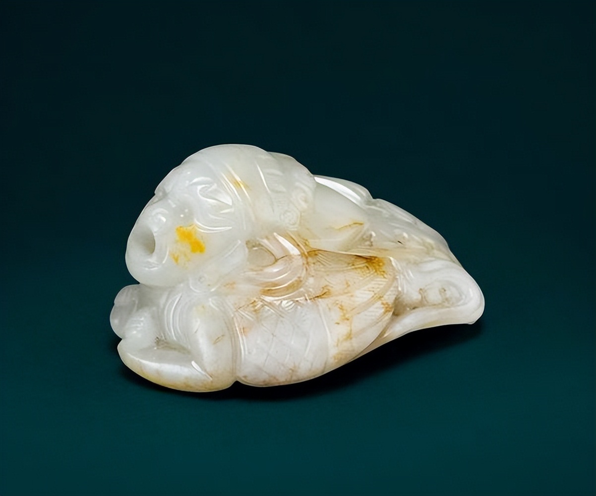 《金翅雀》内容赏析,金翅雀的描述