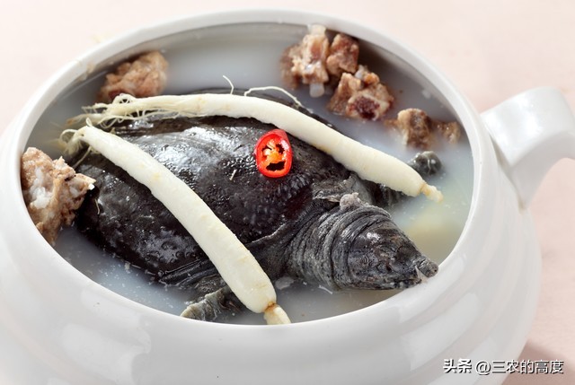 河鲜四大名鱼,最顶级的河鲜鱼