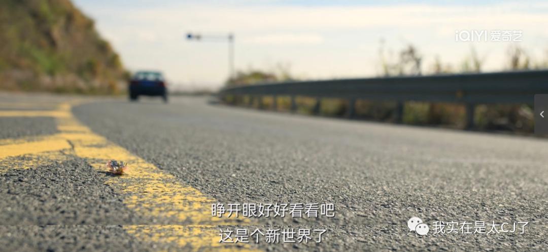 有毒的女人搞事业，好爽