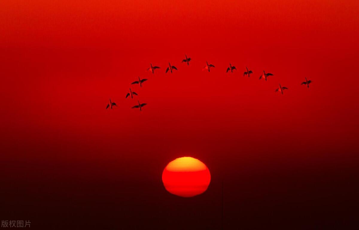 中国人的创造力用在了现在的哪里,中国人富有想象力