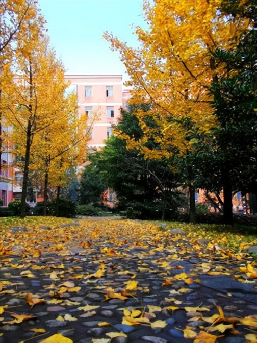 重德博学尚美笃行,重德博学勤勉尚美