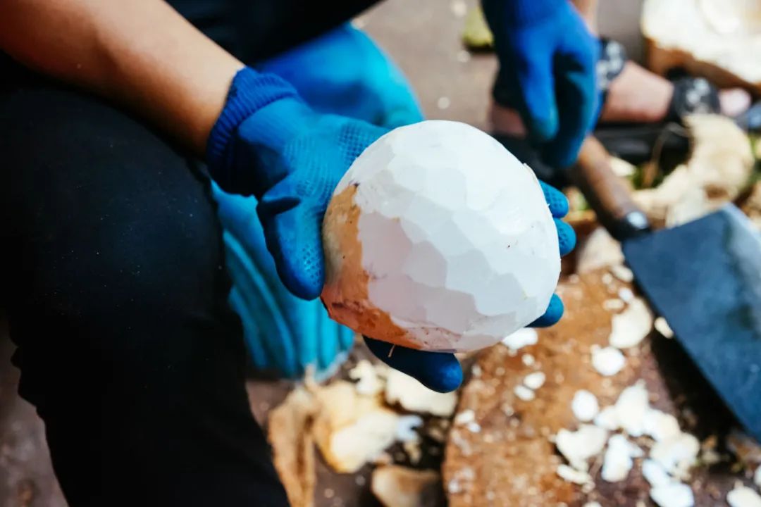 早餐烤乳猪，海鲜论盆卖？这座海岛小城舒坦得有点离谱了