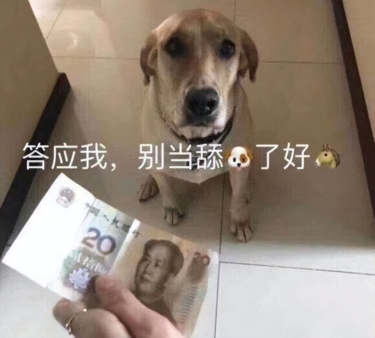 男生谈恋爱提高恋商,恋商提升怎样让男友变得更上进