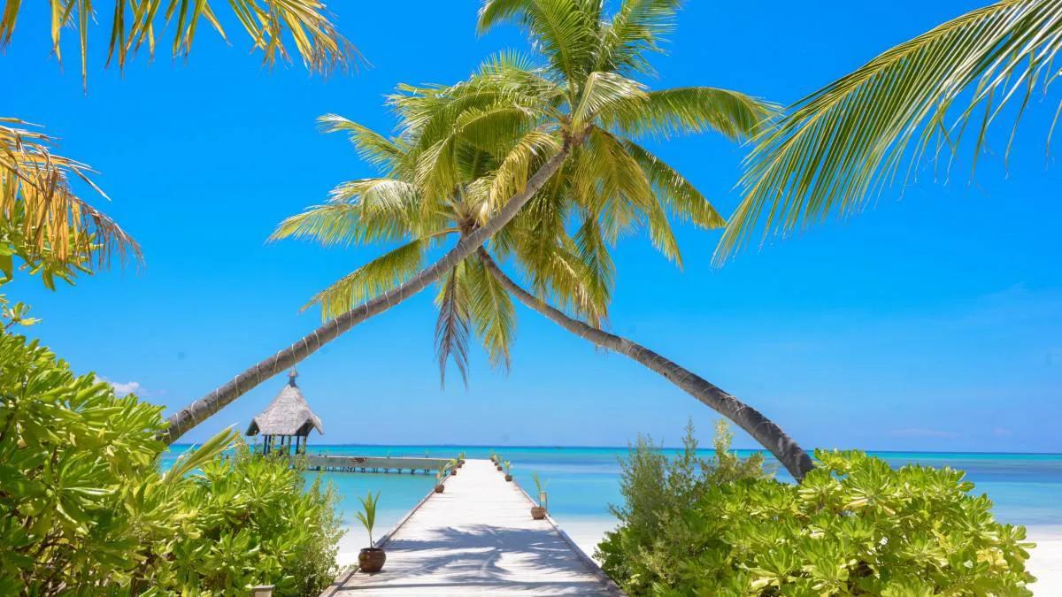 作为军嫂去了海南，有体制内工作和幸福的生活，她眼中的三亚好美