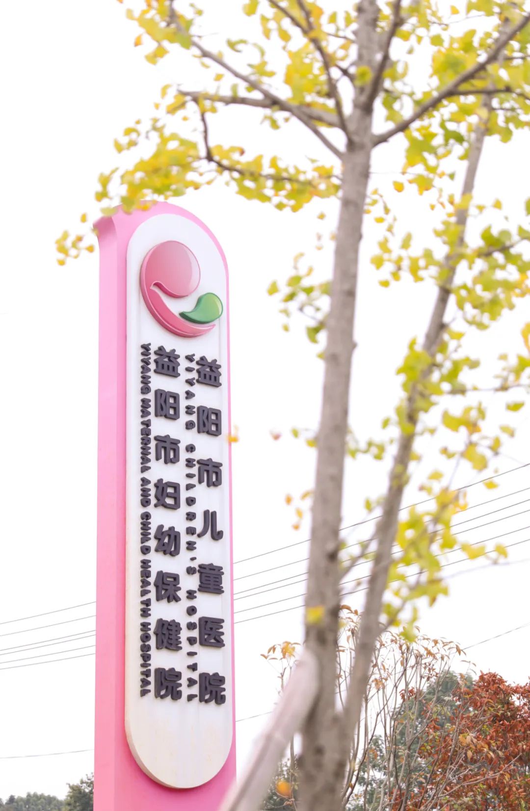 益阳妇幼保健医院详情介绍,益阳市妇幼保健院创三甲