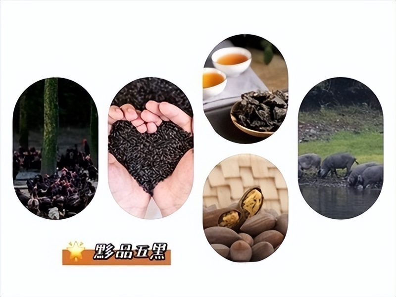 安徽省黄山市黟县：不负韶光开好局合力描绘新画卷