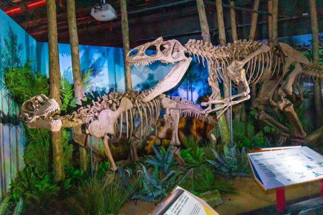 五一广州周边野炊露营旅游攻略,广州遛娃户外一日游番禺农庄