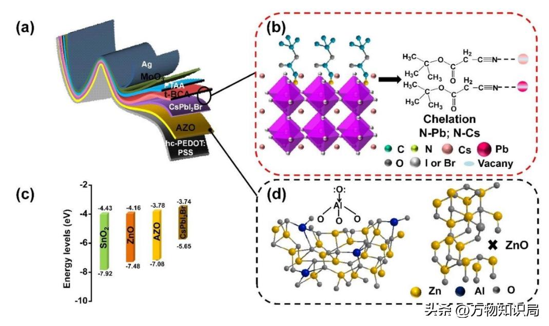 世界上最“乱”的合金：德国发现的合金共生结构如何打破能源壁垒