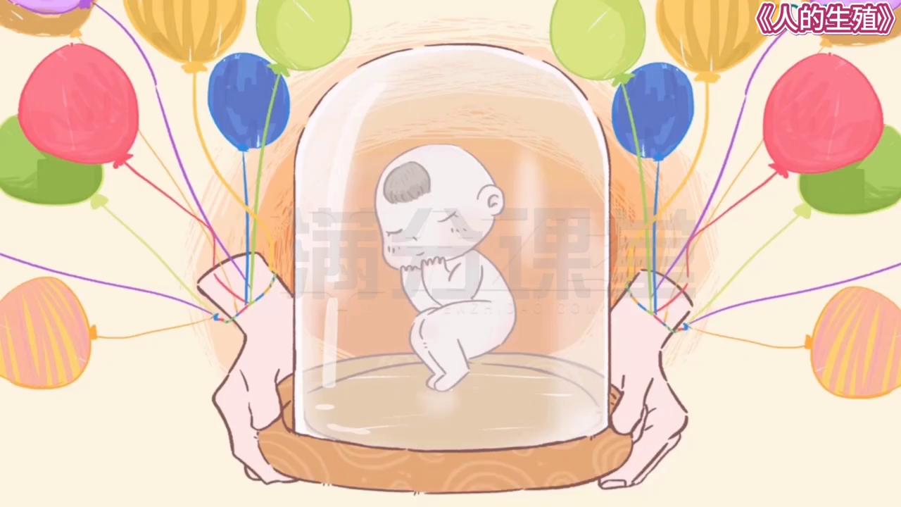 8年级上册生物人体繁殖讲解,生物八年级人的繁殖课本