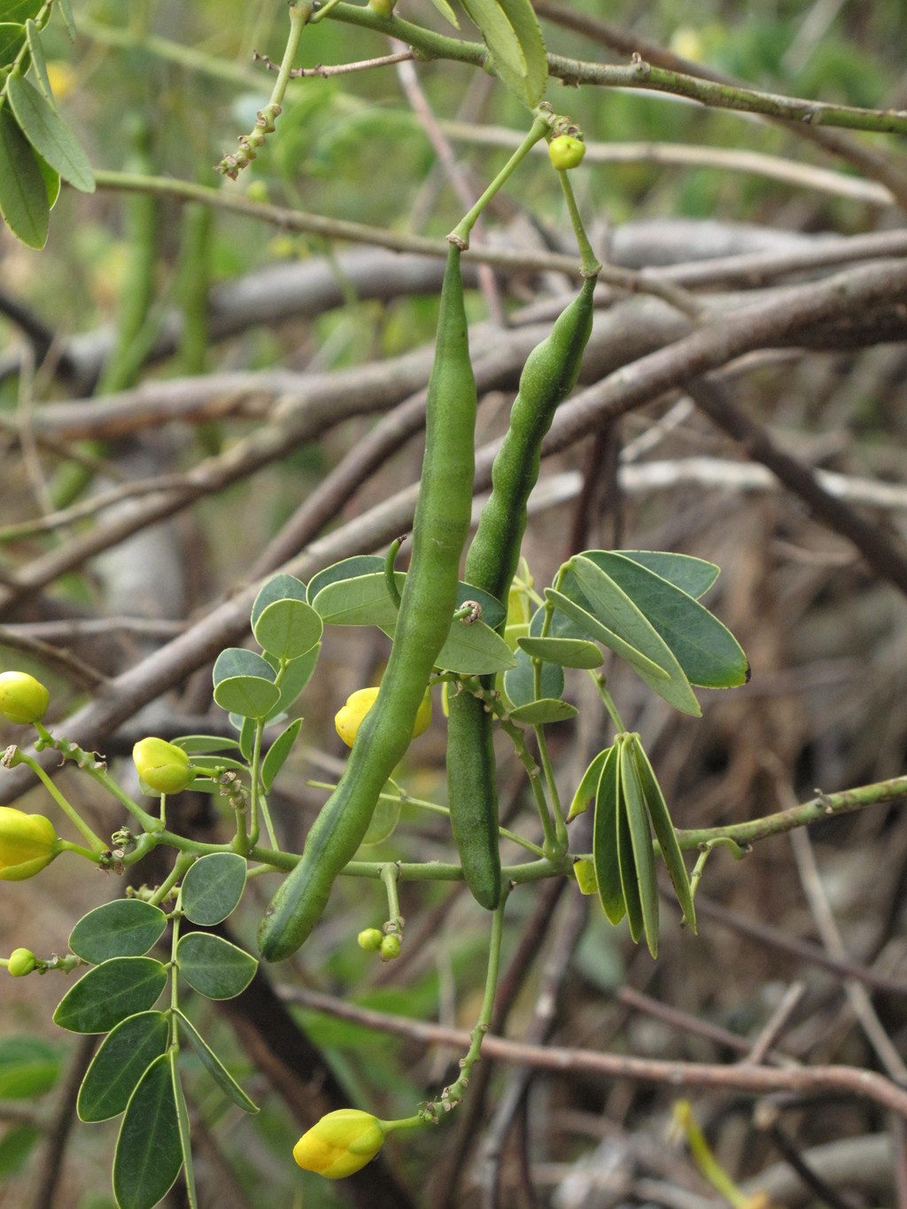 岱山岛为什么叫岱山岛呢,岱山岛定位