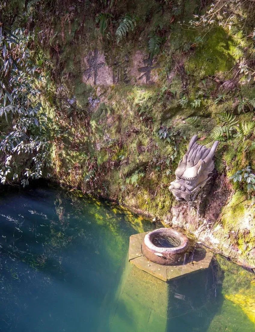 刚试了一下中华文字果然博大精深,涨知识了快来看看中国文字的魅力
