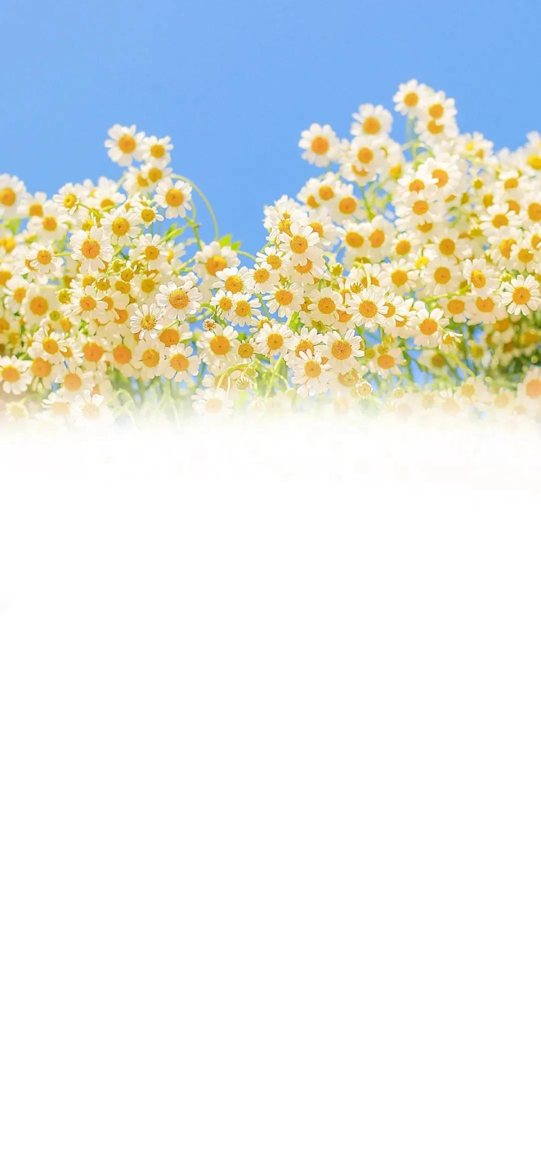 渐变晕染聊天背景图,渐变式聊天背景图