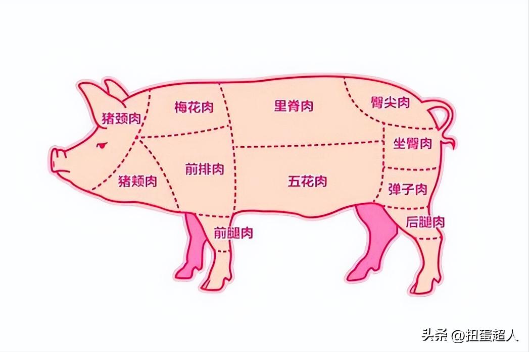 中国人知道民以食为天,中国人讲究民以食为天