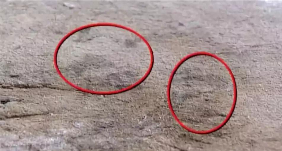 砧板容易发霉开裂发黑,砧板泡久了起霉了怎么办