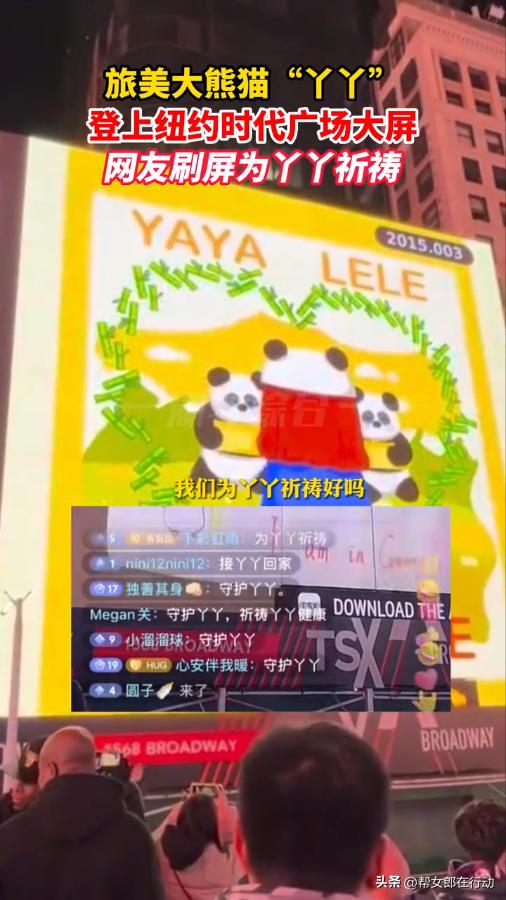 中国旅美大熊猫在国外留学生发声,大熊猫圆梦回国韩国网友反应