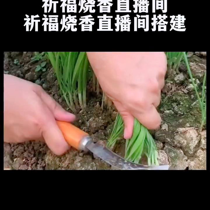 祈福许愿类直播间搭建,祈福直播间怎么搭建