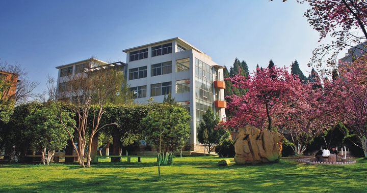 云南高校最新排名,云南各大高校排名