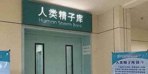 精子质量浓好还是稀好,精子质量和精子成活率