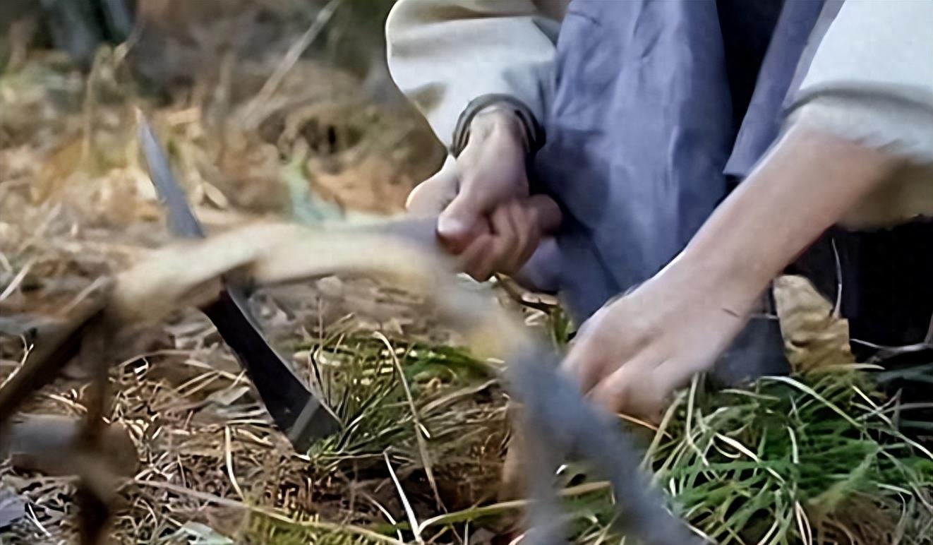 牛角胸罩，诱惑式舔刀尖，这些颠覆三观的镜头，看完让人一言难尽