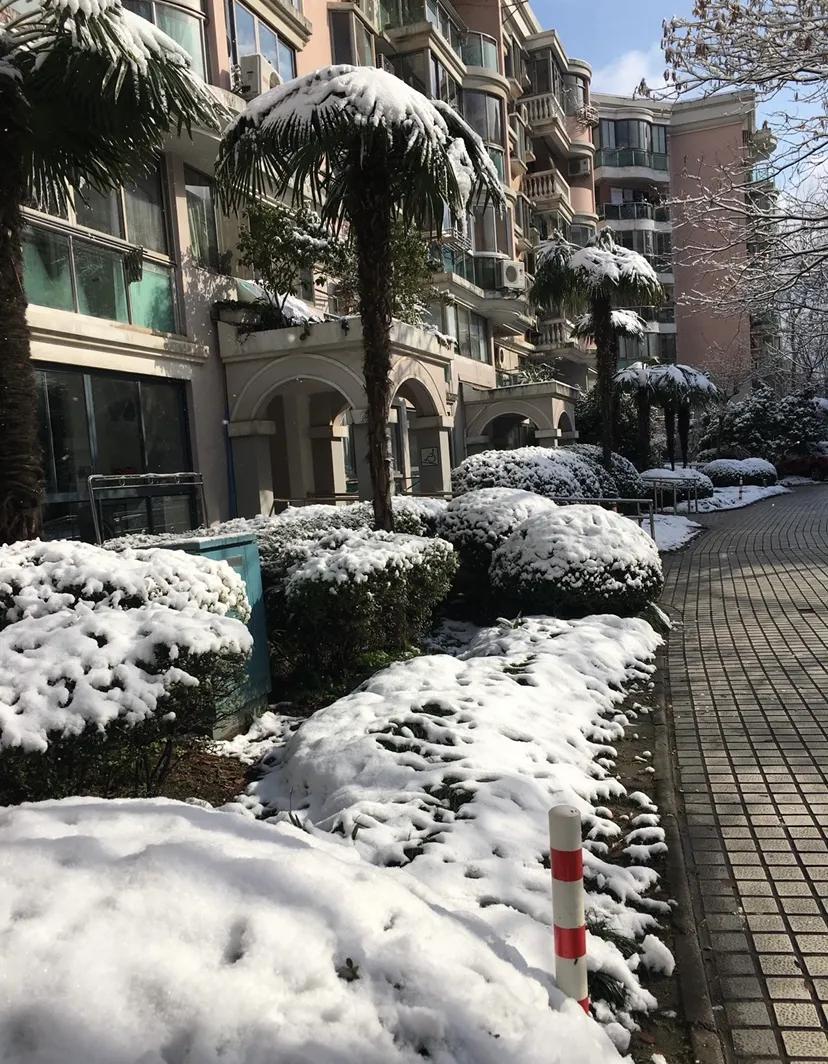 我爱我家我爱祖国诗歌,我爱我家我爱我的祖国