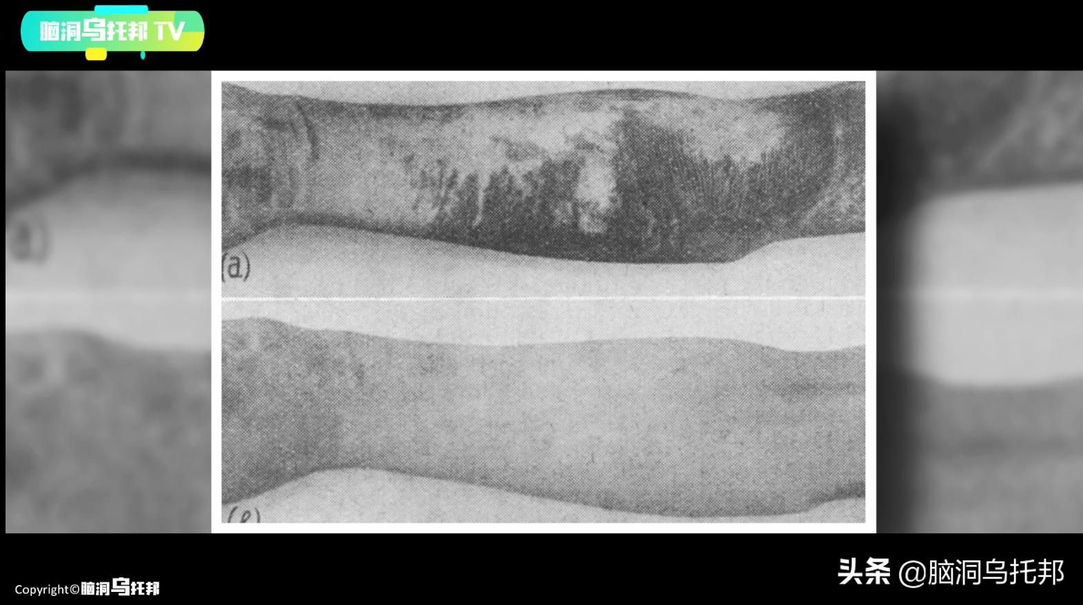 颠覆三观!这是改变你一生的影片,信念生物学：基因以外的生命奥秘