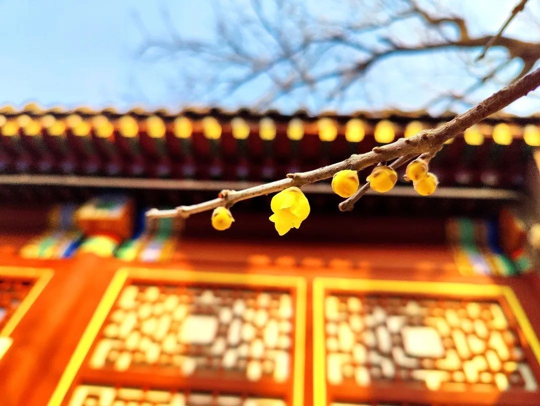 石家庄下雨哪里风景最美,石家庄冬季风景好的地方