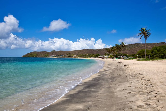 圣基茨护照让您省事又省心,办理圣基茨护照让你拥有黄金身份