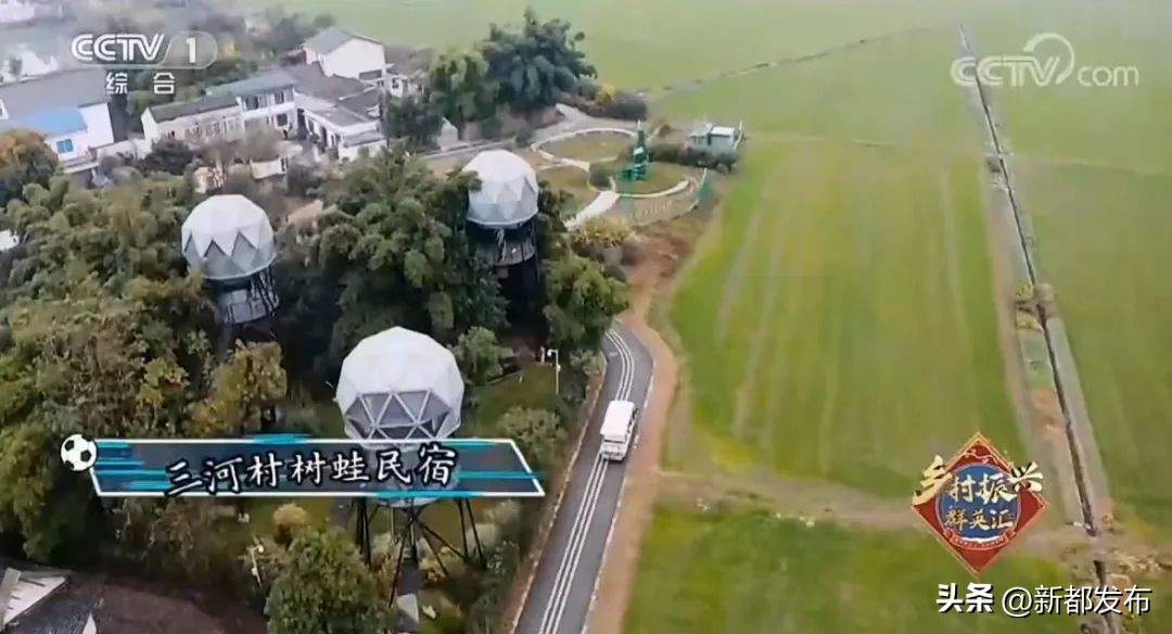 新都，你有什么了不起？