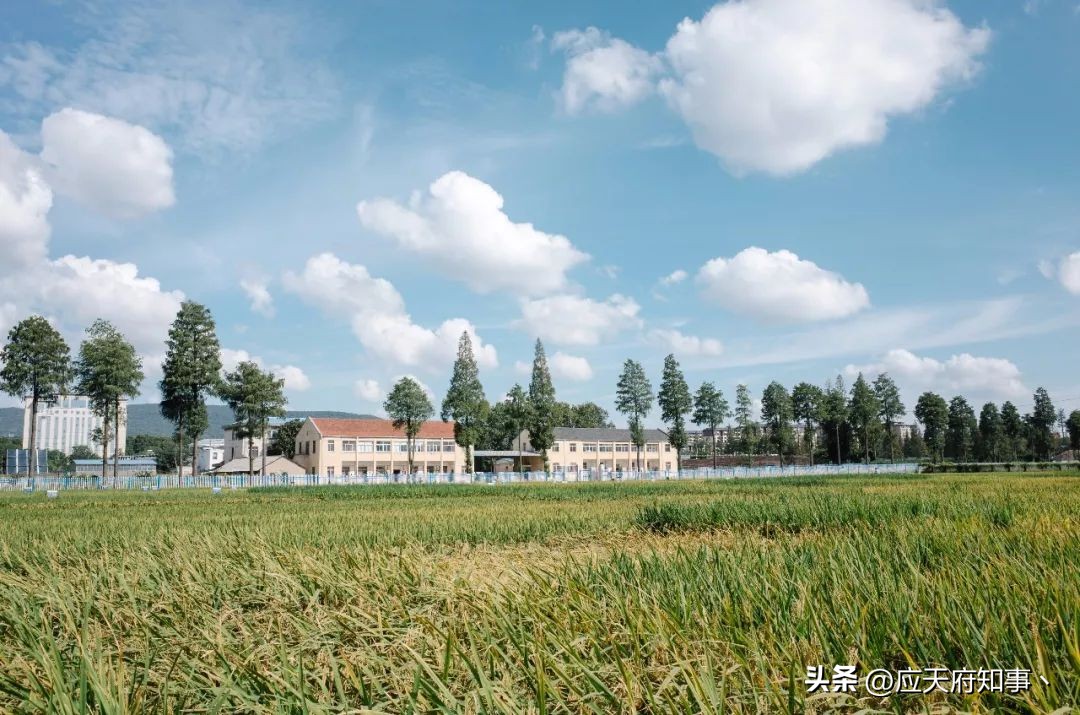 来南京不能错过的小众打卡地,南京江宁小众打卡点