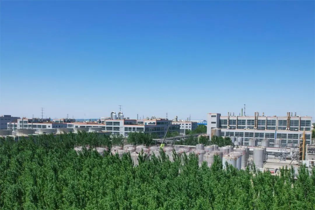 全国生态环境日主题,全国生态日绿水青山就是金山银山