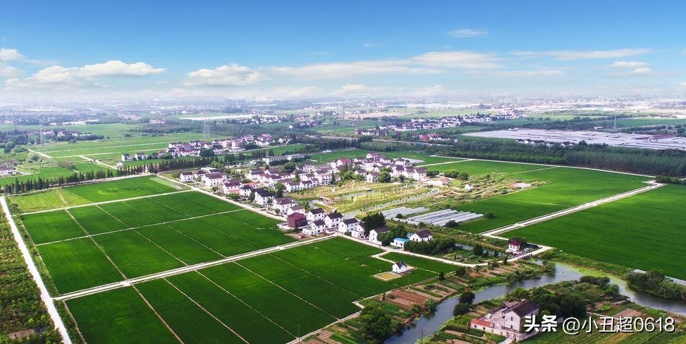 回乡创业的年轻人,为什么越来越多的年轻人回乡创业