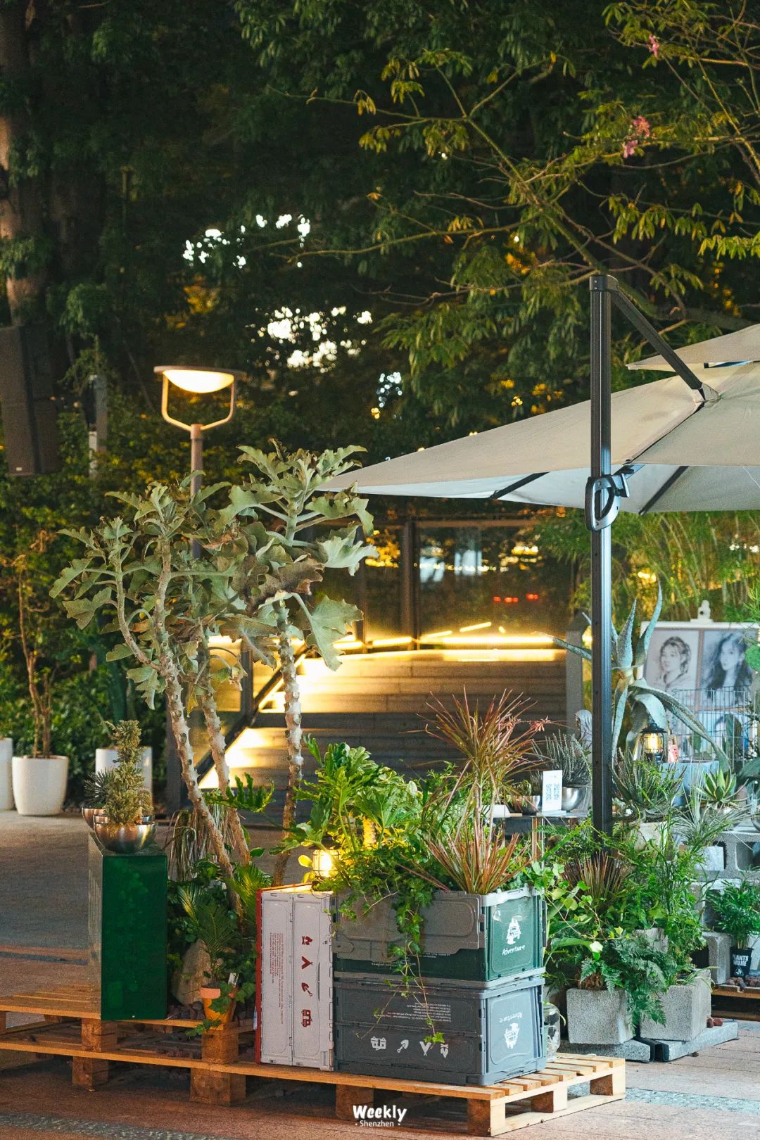 深圳欢乐谷游乐园,深圳十大必去游乐园