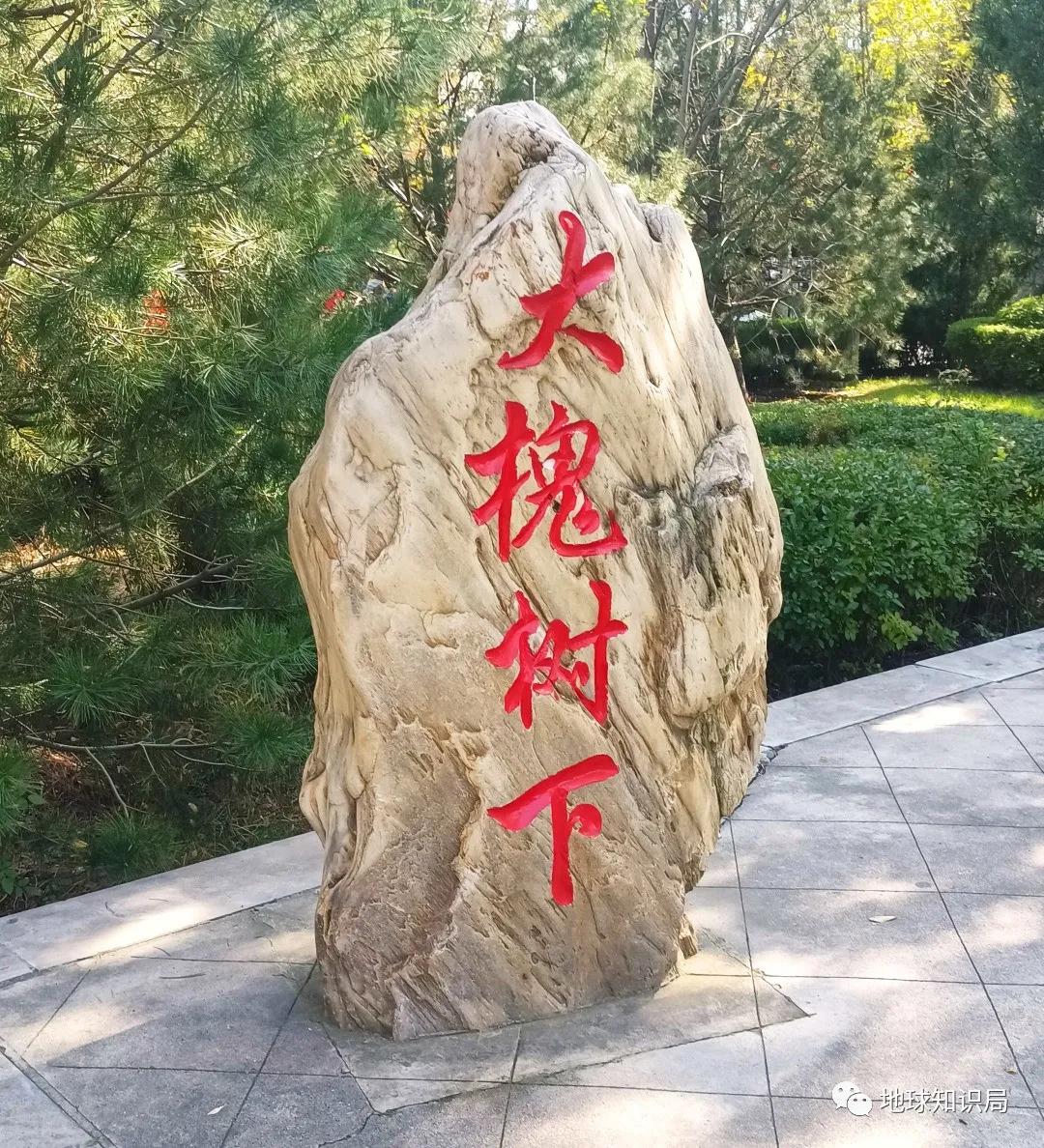 山西大槐树是神话传说,山西大槐树祖先传说