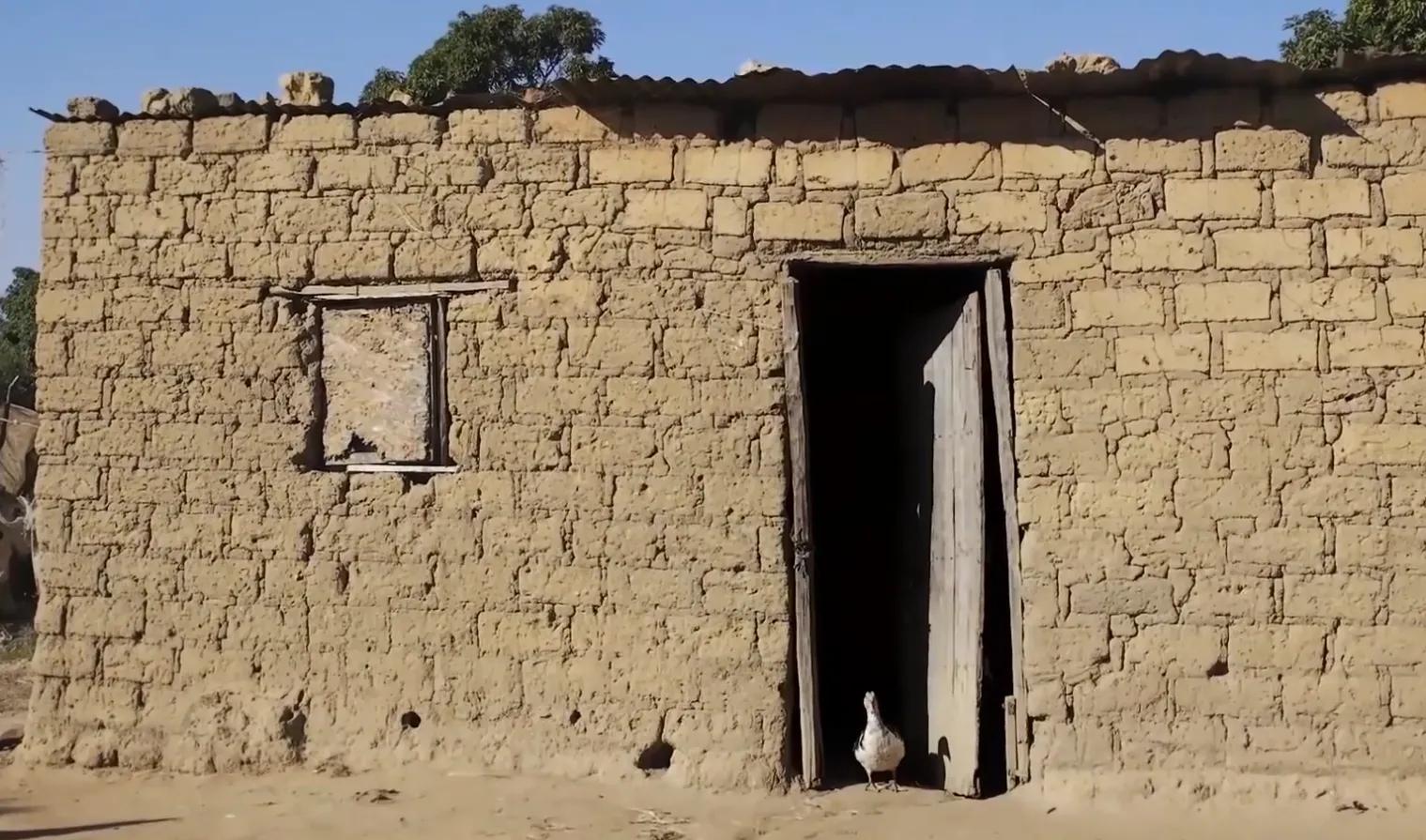 一直以为黑人穷是因为懒，真正了解后才发现，原来是自己太幸运