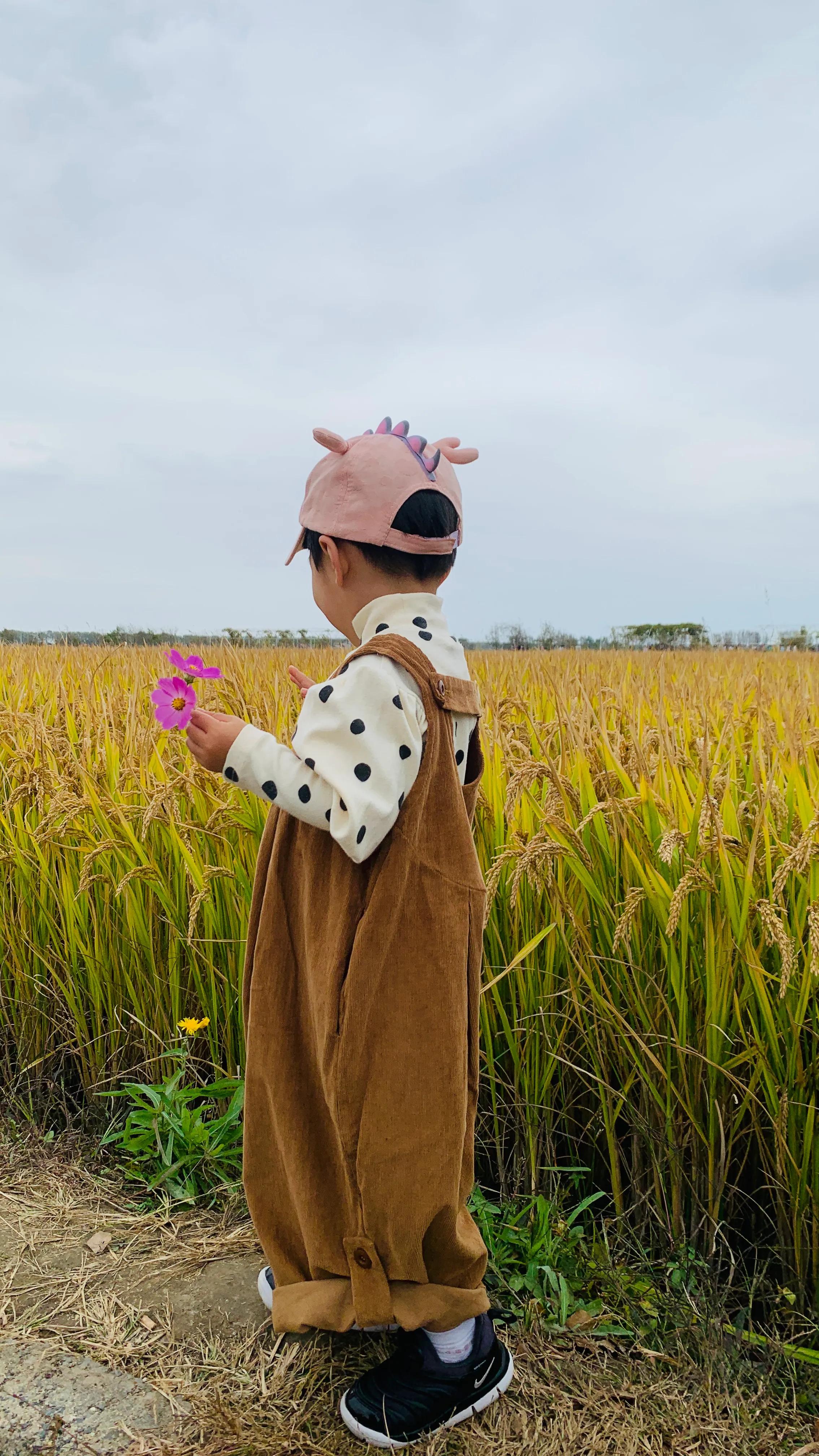 沈阳旅游景点稻梦空间,沈阳稻梦空间一日游攻略