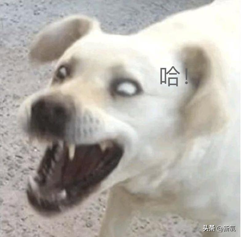 如何好好说话掌握说话技巧,日常各种经典场合的说话技巧