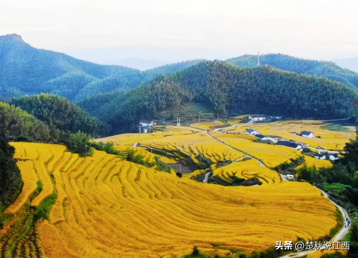 江西有哪些梯田风景区,江西梯田排名前十的梯田