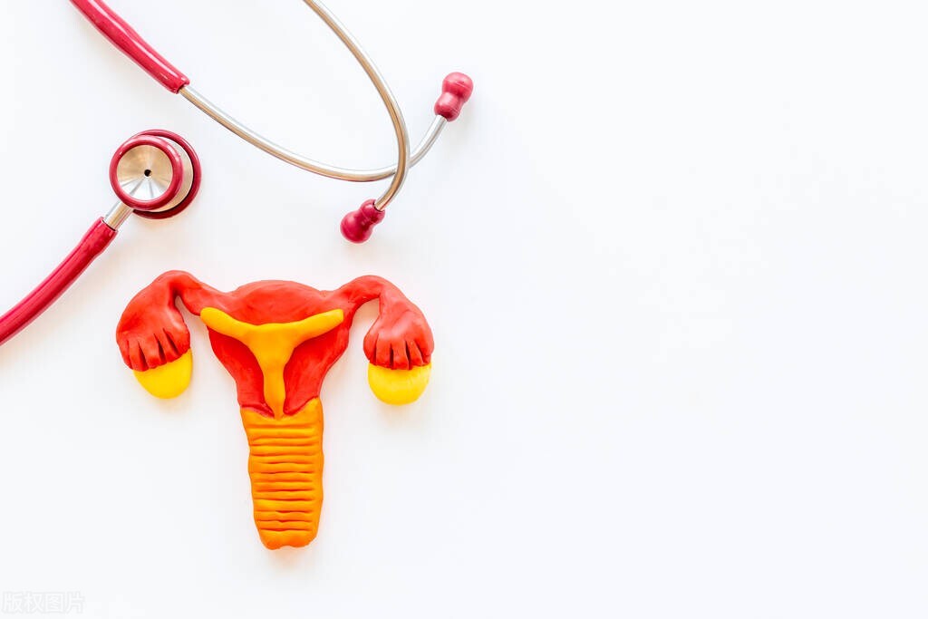 生殖器官畸形是什么,生殖器畸形有多少种