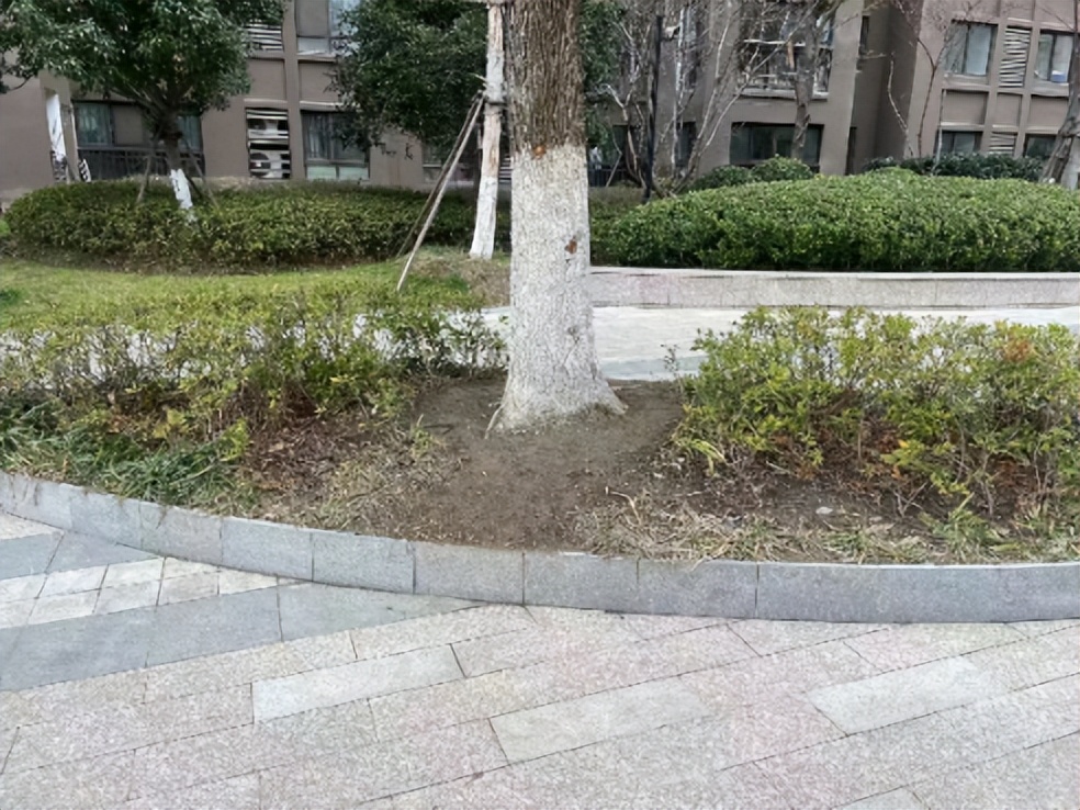 带你见识万科物业,小区物业品质提升实施方案