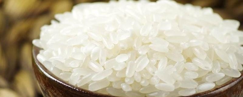 从生态学角度说五常大米品质好,五常大米是什么样的大米