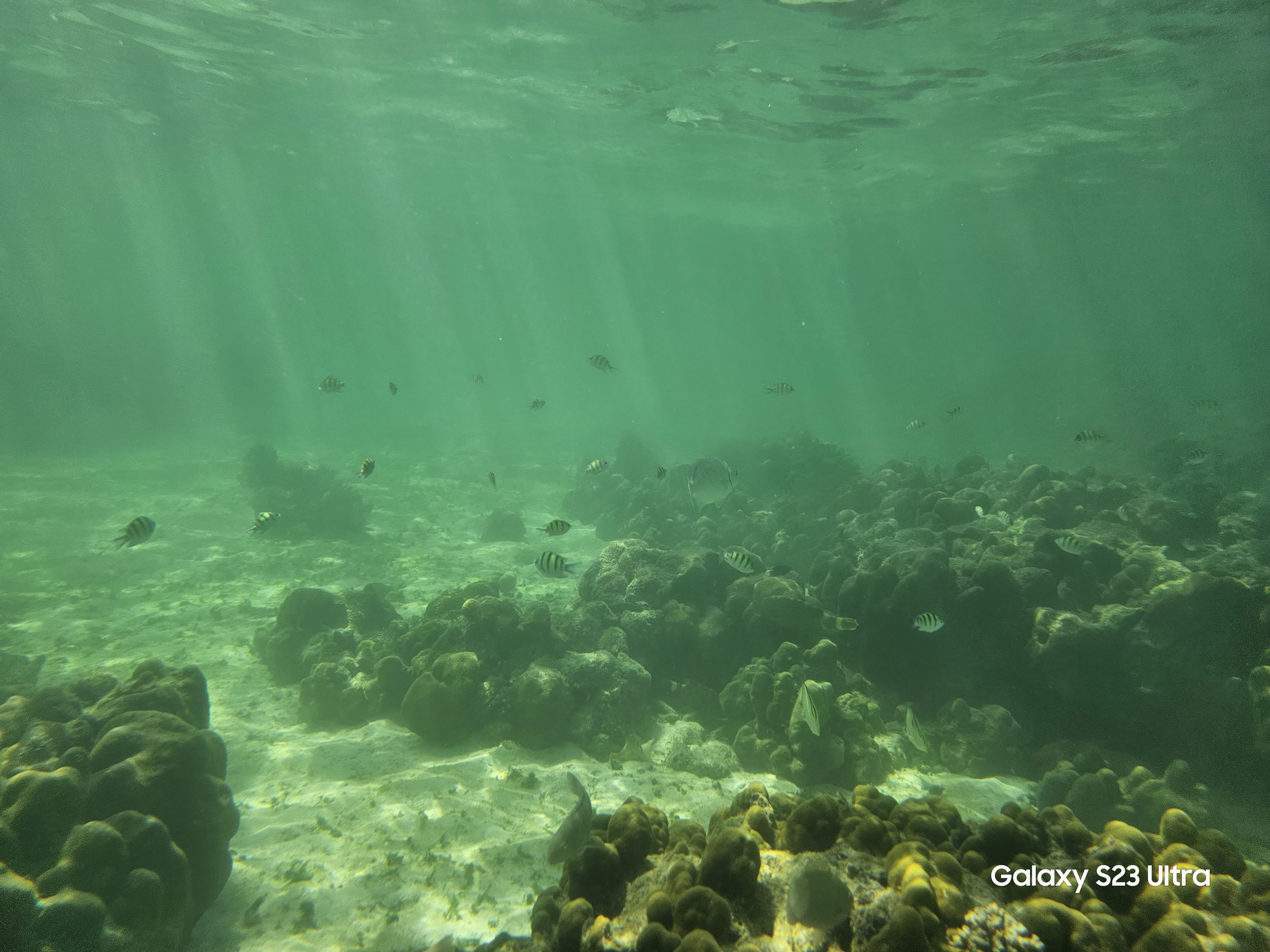 galaxys23ultra火影,galaxys23ultra港行