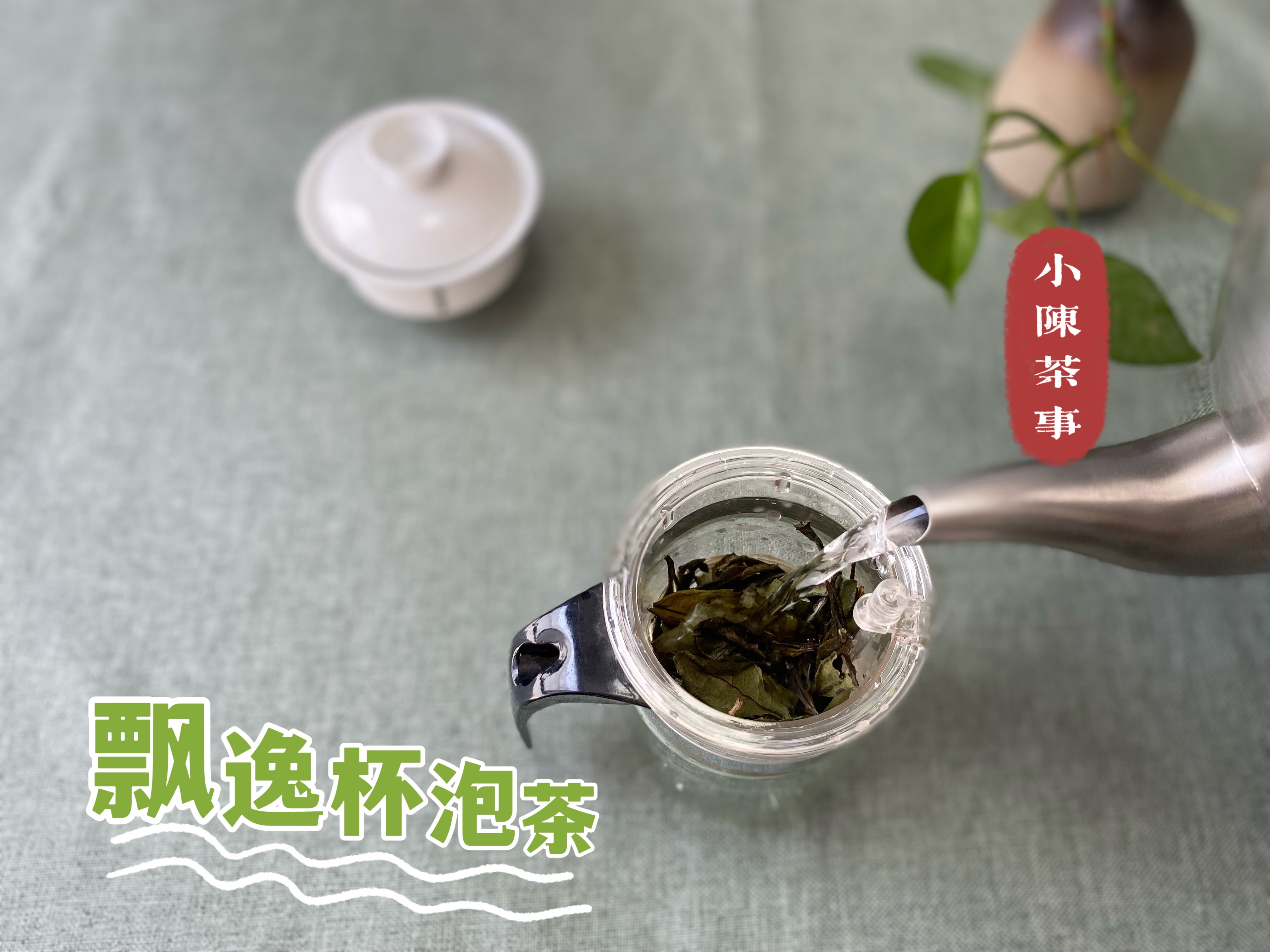 玻璃茶水分离保温杯类型,玻璃和保温杯的茶水分离杯怎么选