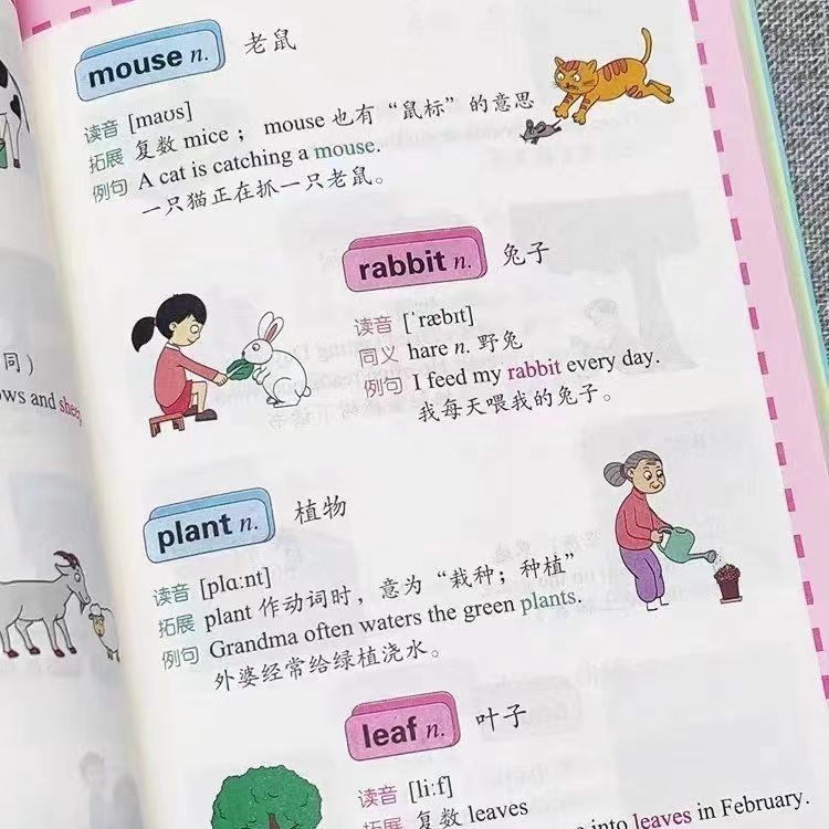 怎么快速学习英语拿高分,15天学英语最快的方法