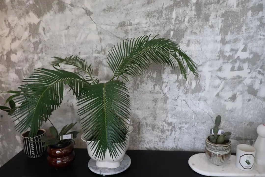 佳能eosr50怎么样拍照,佳能eosr50怎么样