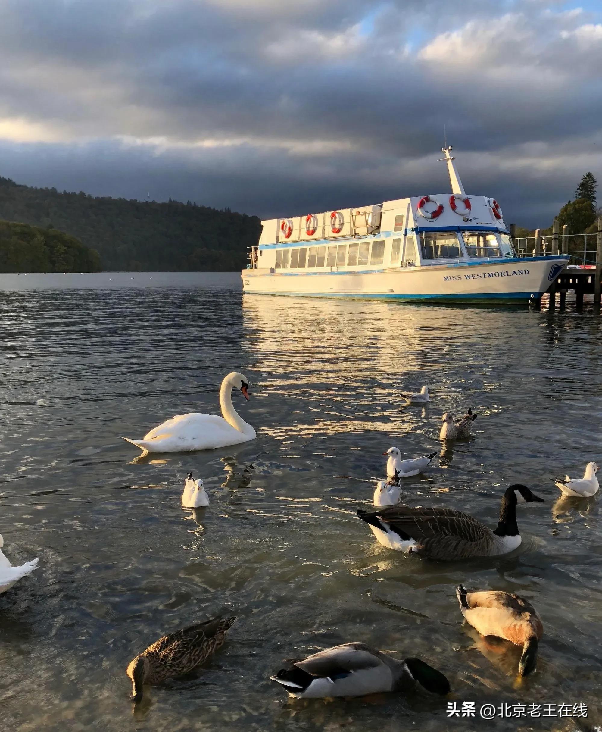 换一种方式去旅行的作文,换一种方式去旅行英文版
