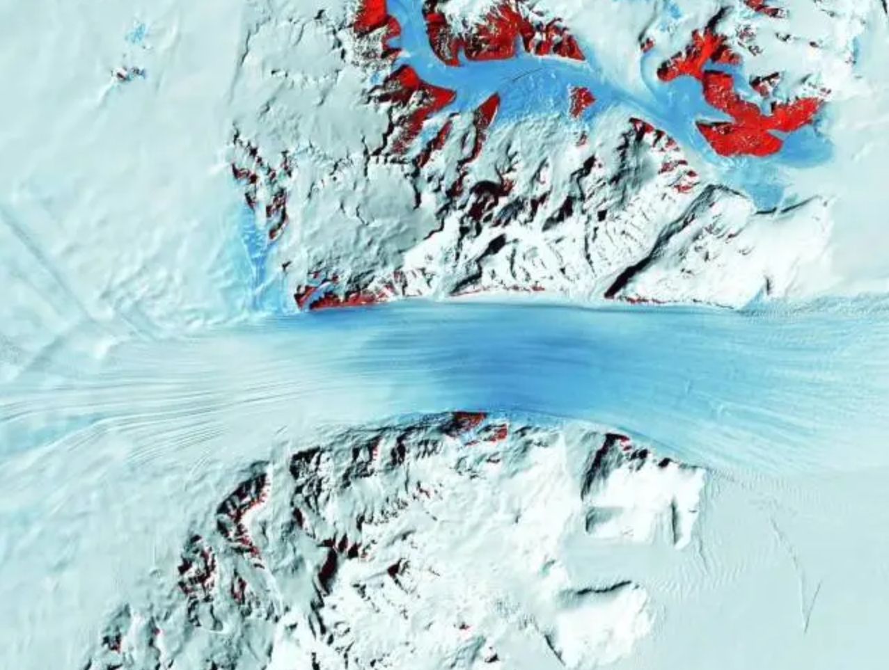 北极圈出现了38度罕见高温,北极圈温度升高到38度