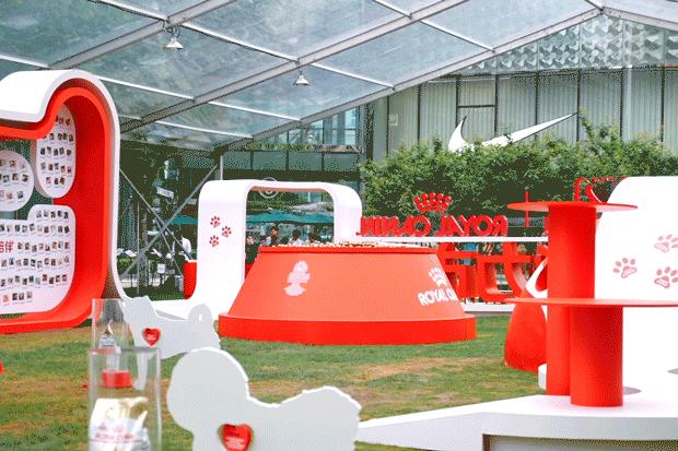 市区100平米宠物游乐园,宠物游乐场室内