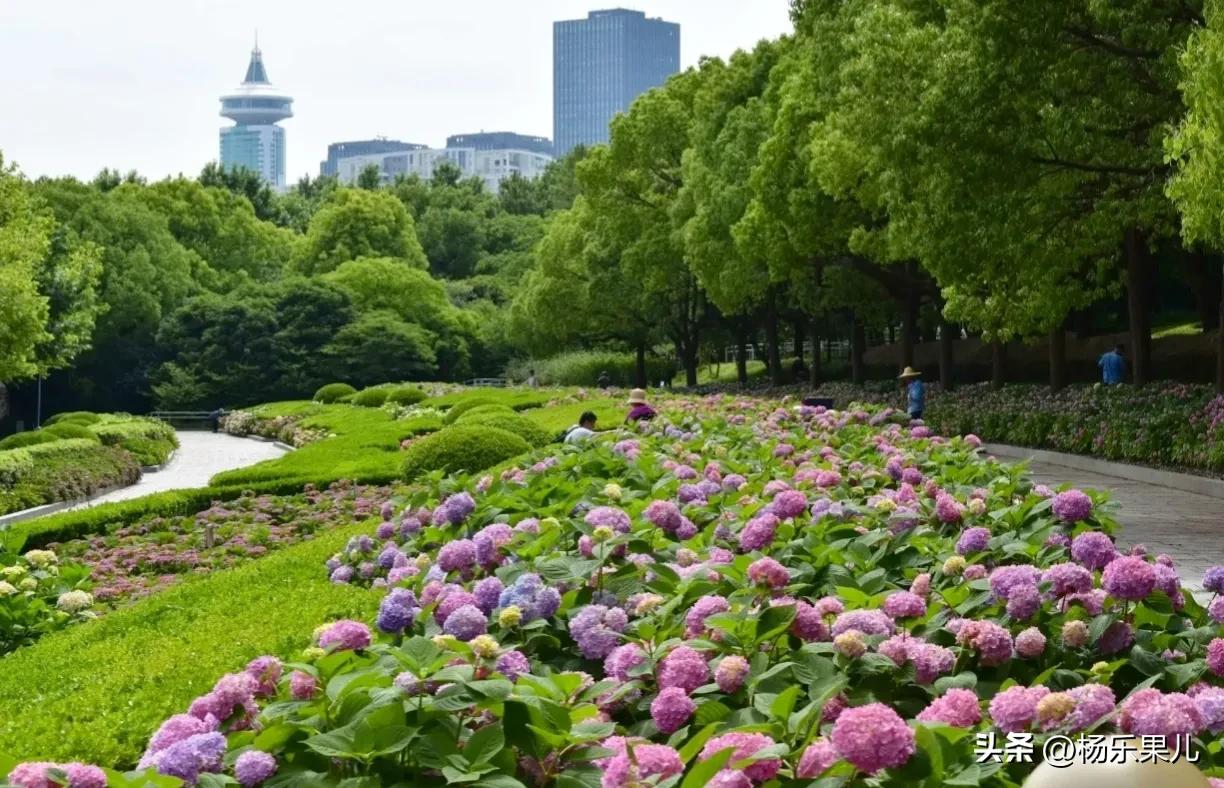 上海浦东新区北蔡镇,上海浦东新区八佰伴附近的酒店