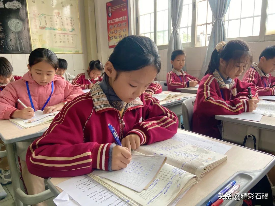 选择石碣四海，成就孩子未来